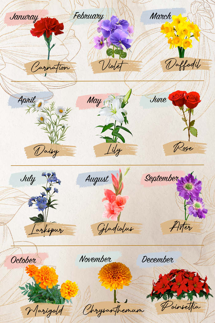 birthday-flowers